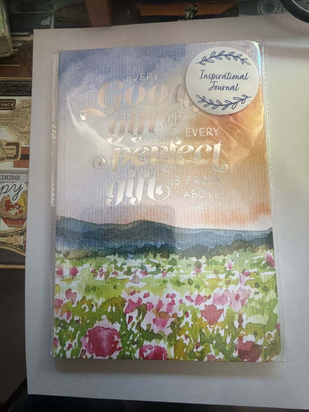 Mintgreen Inspirational  6 x 9 Journal James 1:17 Watercolor Flower Field-lined